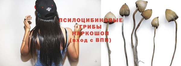 дживик Лагань
