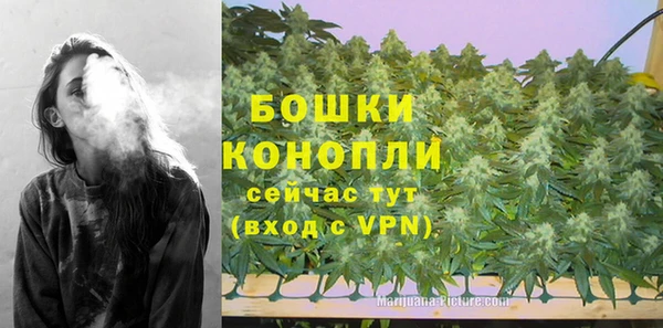 дживик Лагань