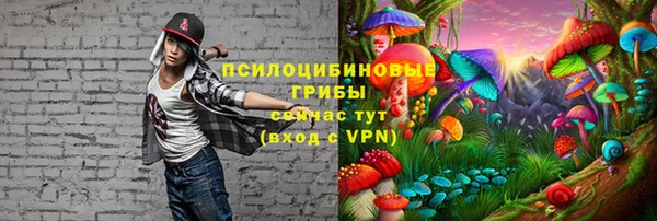 дживик Лагань