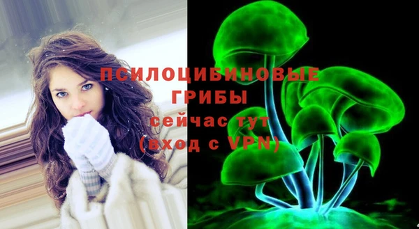 эйфоретик Лабытнанги