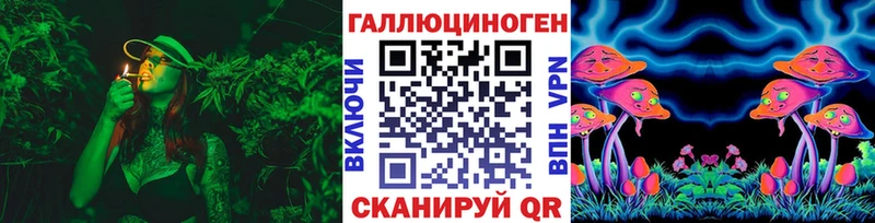 Купить закладки  Камень-на-Оби  Галлюциногенные грибы MAGIC MUSHROOMS 
